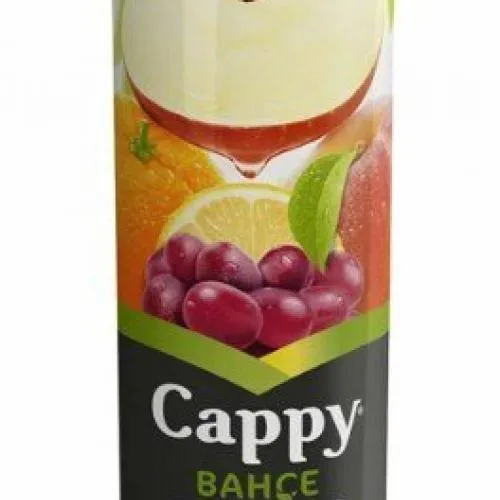 CAPPY KARIŞIK