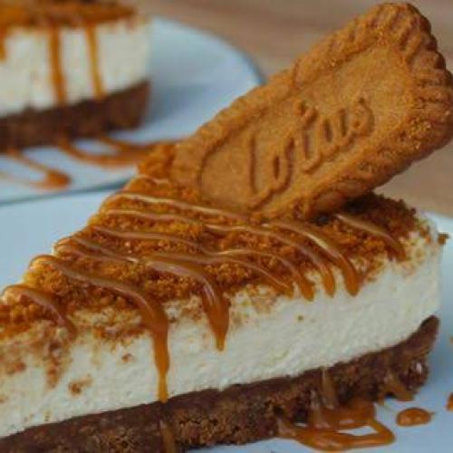 CHEESECAKE LOTUS