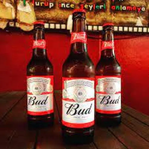 BUD 50CL  İTHAL BİRA