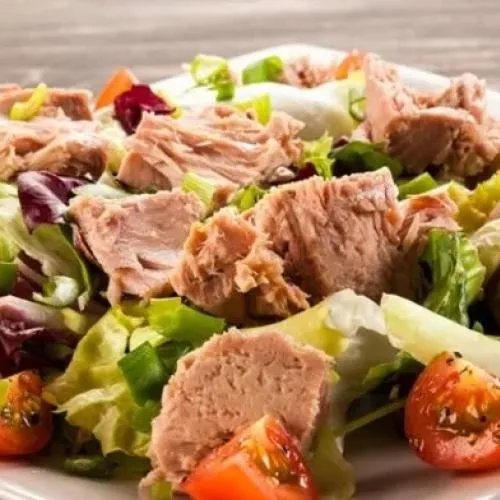 Ton Balıklı Salata